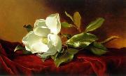 Still life floral, all kinds of reality flowers oil painting 06